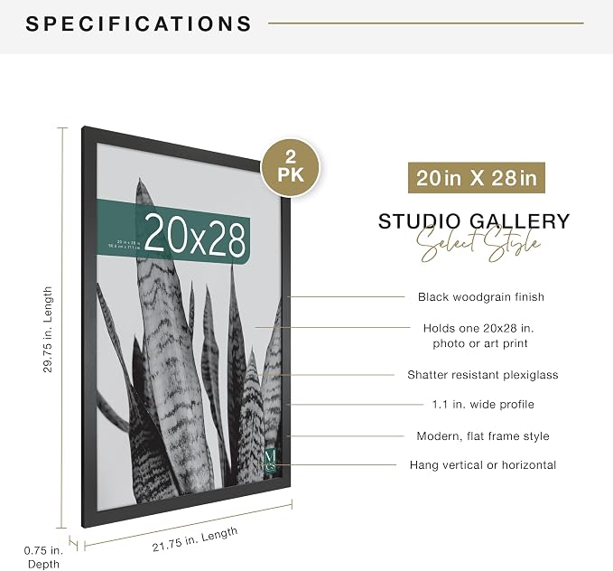 MCS Studio Gallery 20x28 Poster Frame Black Woodgrain Engineered Wood, Vertical & Horizontal Wall Hanging Large Picture Frame for Photos, Posters & Art Prints (2-Pack)