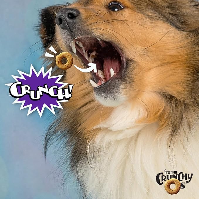 Fromm Crunchy Os Smokin' CheesePlosions Dog Treats - Pork Recipe - 26 oz