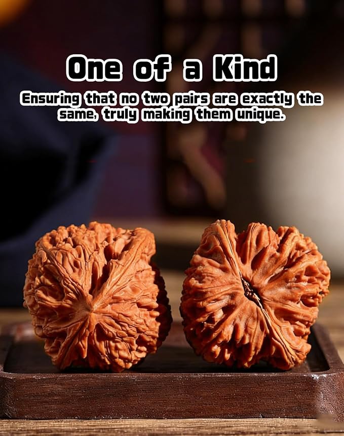 Jade Walnuts - 2026 Chinese Wenwan Walnut, Polishing Walnuts Fidget with Storage Box, Hand-Polished Natural Walnut Stress Relievers, For Meditation, Focus, And Collectors (Lion Head A, 1.61-1.65in)