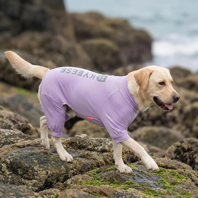 KYEESE UPF50+ Dog Sun Shirt for Medium Dog Cooling Onesie for UV Protection | Cooling Breathable Fabric, Reflective Design, Shedding Control, Skin-Friendly for Sensitive Dogs, Easy On/Off, Quick Dry