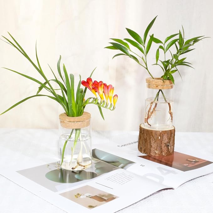 Separated Desktop Glass Flower Vases with Wooden Saucers - Ideal Plants Propagation Stations for Living Room, Bedroom Decoration,Home Decor (9)