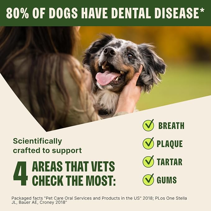 Wellness WHIMZEES Value Pack Natural Dog Dental Treat, Chews, Freshens Breath, Extra-Large Size, 64 oz Box, 15 Count