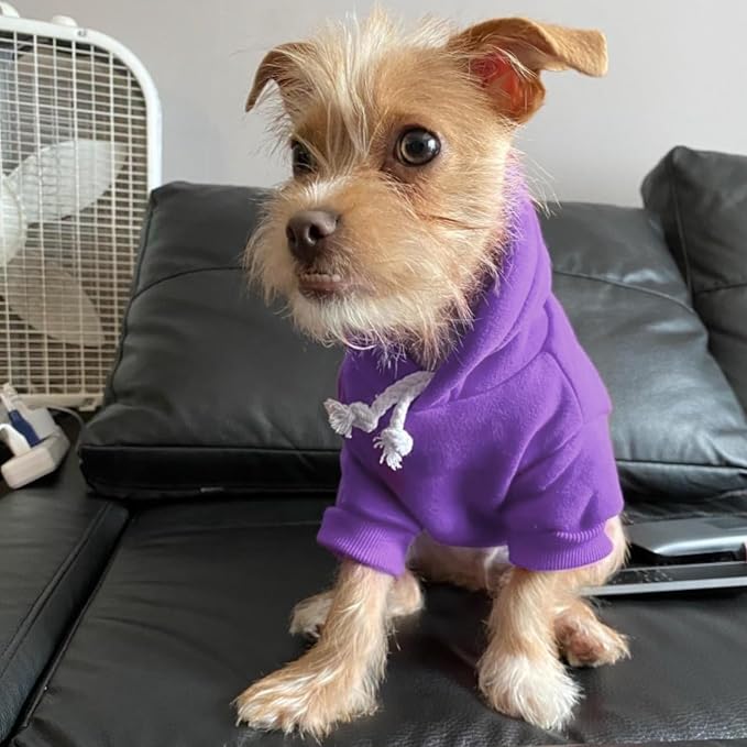BINGPET Dog Hoodie for Small Dogs, Soft Pullover Pet Sweater | Warm Dog Sweatshirt Clothes, Winter Hooded Outfit for Girl Boy Dogs Puppy, Chihuahua Cold Weather Coats Wear, Purple S