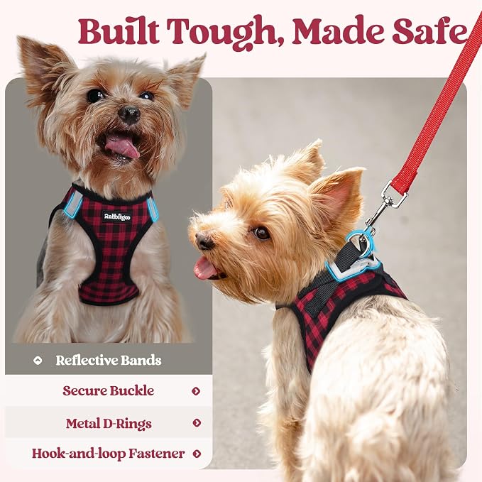rabbitgoo Dog Harness Small Sized and Leash Set, Step-in Puppy Pet Vest | Light, Soft, Breathable Air Mesh, Easy on and Remove with Hook & Loop, Secure Reflective for Walking, Red Check XXS