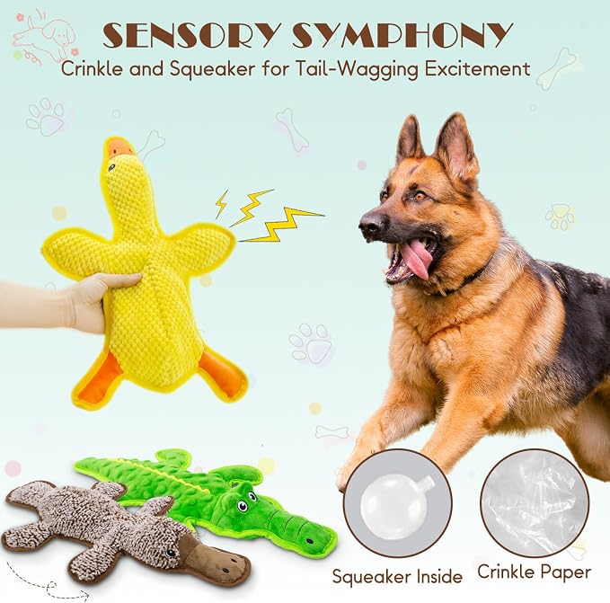 No Stuffing Dog Squeak Toys, 3 Pack Chew Toys for Small to Large Puppies | Durable Puppy Teething Toys, Interactive to Keep Pets Busy, Toss Fetch Tug Play, Best Birthday Gift