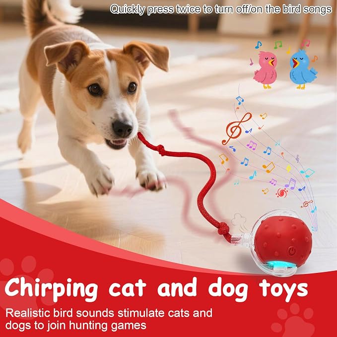 Interactive Cat Toys Smart Ball for Cats & Dogs! Now with 2 Rapid Tails. Features: 360°Auto-Rolling, Motion Activation& Bird Sounds. Perfect for Indoor Pet Exercise & Fun. (Red＆Blue)