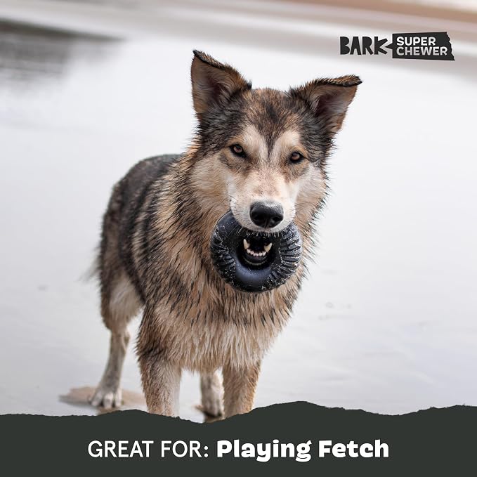 BarkBox Radius Super Chewer - Toy for Large Dogs | Durable Dog Toy for Aggressive Chewers - Vanilla Scented Chew