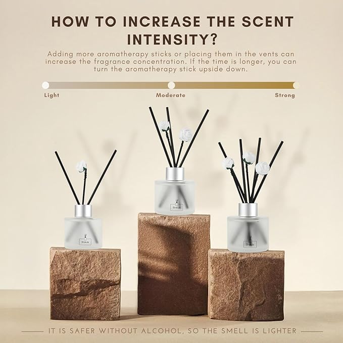 Brakula 2 Pack Reed Diffuser Set, Black Forest Scented, Home Fragrance with 14 Sticks Bathroom Decor, Reed diffusers for Home 6.76 fl oz(Black Forest)