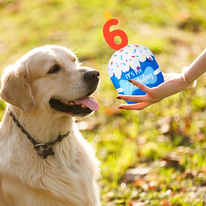 Dansydaisy Dog Birthday Cake Toy Squeaky Plush Gift,6th,Blue