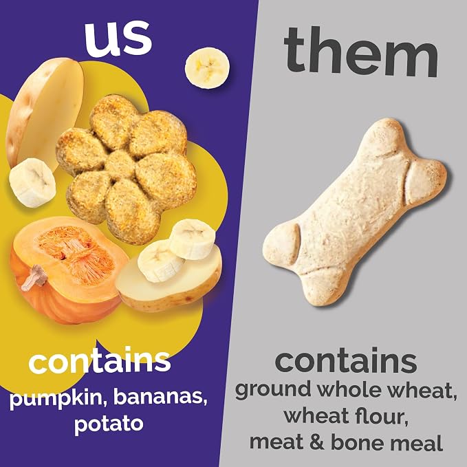 Fruitables Baked Dog Treats, Low Calorie Treats, Pumpkin & Banana, 7oz | Healthy Dog Treats, Training Treats, Crunchy Dog Biscuits, Limited Ingredient Recipe, Healthy Puppy Snacks, Made in USA