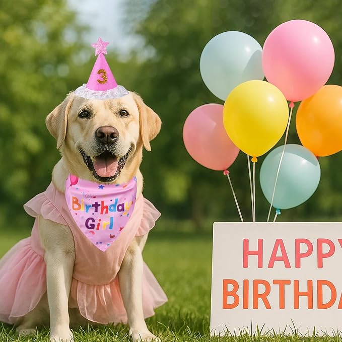 Dog Girl Birthday Party Hat, Dog Birthday Party Supplies | Dog Birthday Bandana Set with Numbers for Gaint and Extra Large Puppy (Pink)