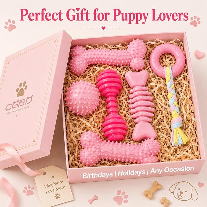 Puppy Toys, 6 Pack Dog Chew Toys for Puppy, Cute Pink Small Dog Toys, Puppy Teething Toys for Puppies, Soft Durable Interactive Chew Toy for Small Dogs