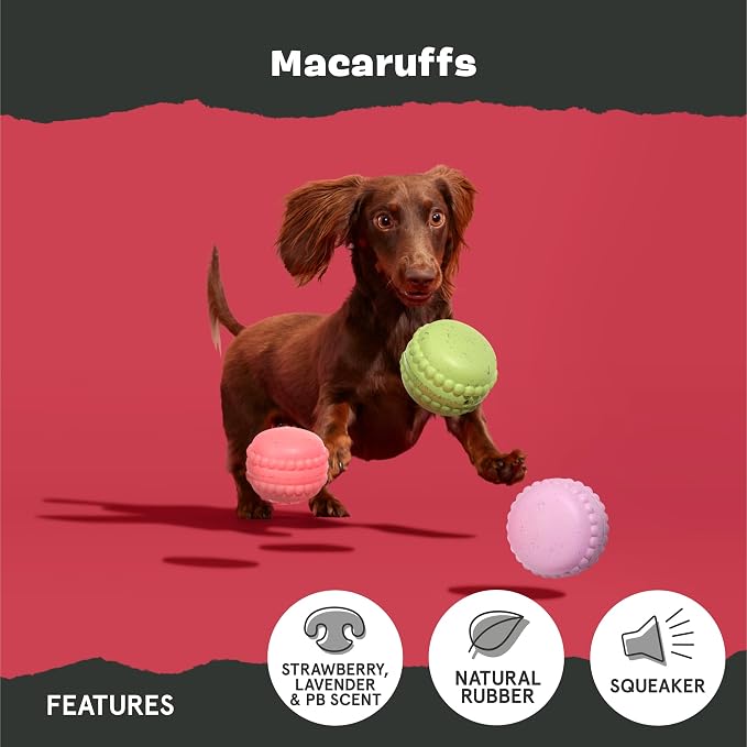 BarkBox Macaruffs - for Small Dogs