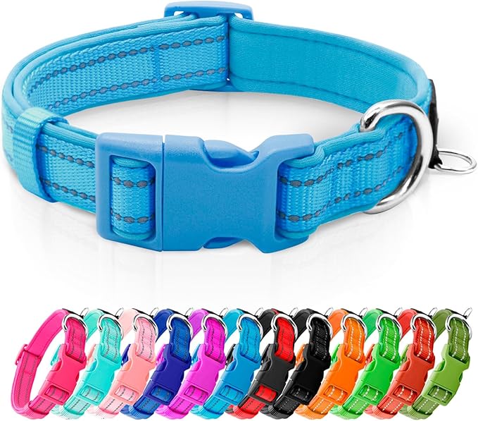 azuza Reflective Dog Collar, Neoprene Padded Puppy Collar, Blue, XS