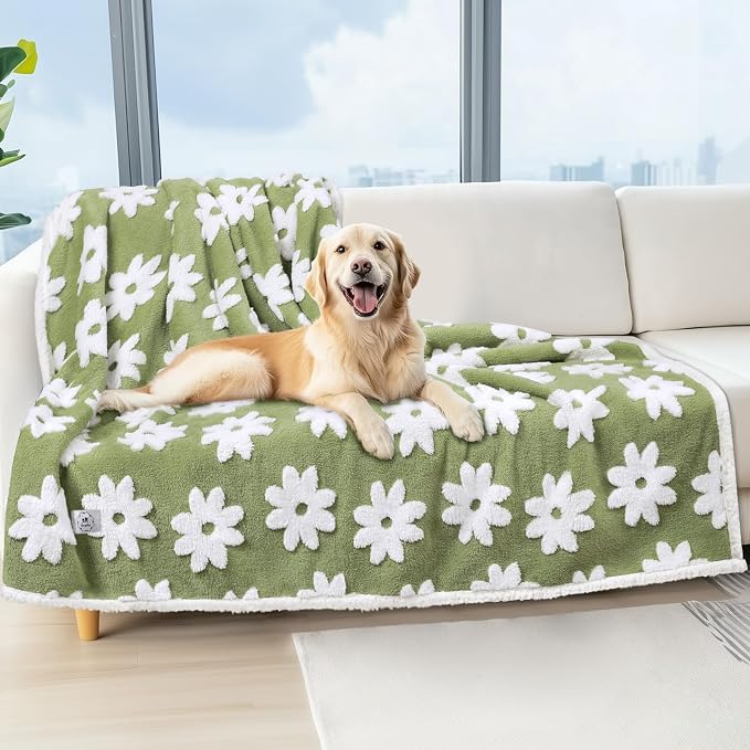 Luciphia Waterproof Dog Blanket for Large Dogs Cats Soft Reversible Fleece | Puppy Pet Blanket, Indoor Cats, Washable Cute Cozy Throw, Bed Cover, Couch Furniture Protector Gift(67" x 57", Green)