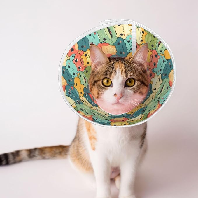 Cartoon Smart Frog for Adjustable Cat Cone Collar