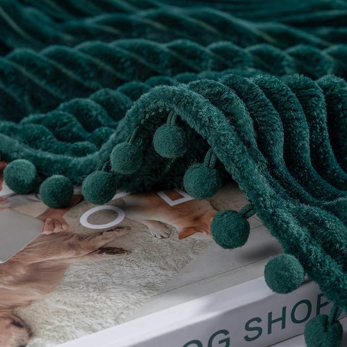 DISSA Fleece Blanket Twin Size – 60x80, Green - Soft, Plush, Fluffy, Fuzzy, Warm, Cozy – Perfect Throw for Couch, Bed, Sofa - with Pompom Fringe - Flannel Blanket
