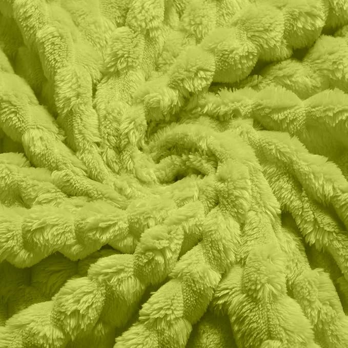 Vessia Flannel Fleece Twin Size Blanket(60x80 inch), 3D Jacquard Green Fuzzy and Warm Blanket for Couch,Sofa,Bed,Chair, 300GSM Super Soft Touch Cozy Lightweight Bed Home Decor for All-Season