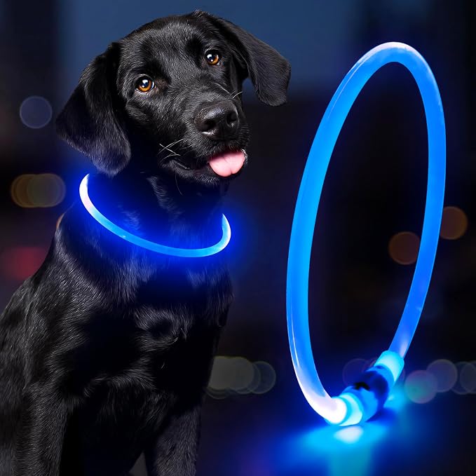 Light Up Dog Collar - Waterproof LED Dog Collar Rechargeble, TPU Cuttable Glow in the Dark Safety Dog Lights for Night Walking(Blue)