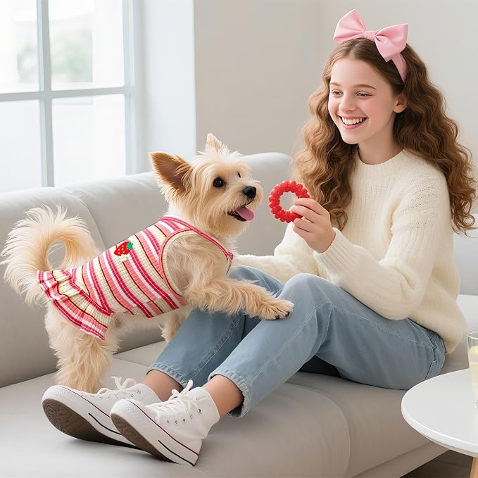 Cute Small Dog Dress Girl Female Dog Clothes Spring Summer Pet Puppy Cats Striped Dress Outfits for Shih Tzu Yorkies Chihuahua Maltese(Strawberry Pink,Small)