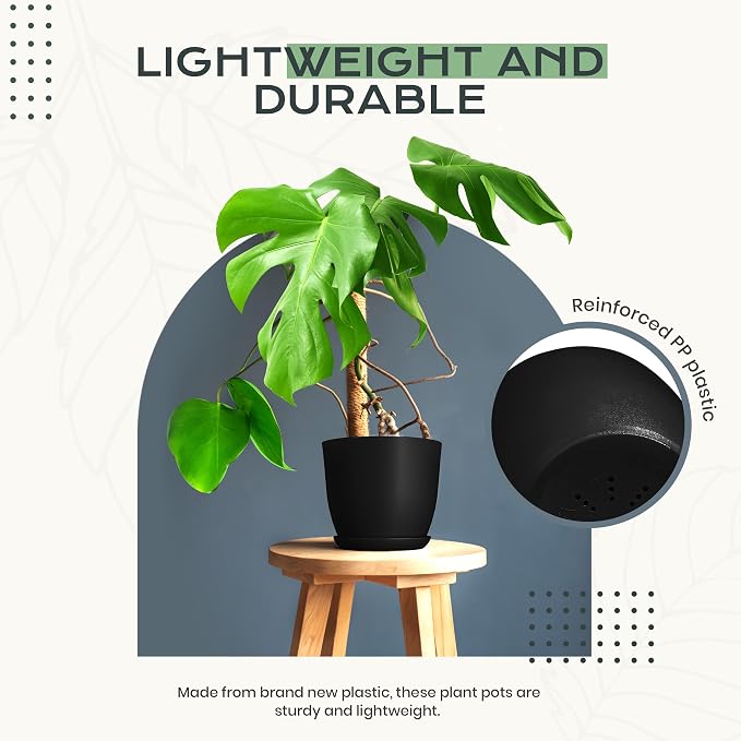 Plant Pots Indoor with Drainage, 10 Pack Multi-Size Planters Set, Black | Drainage holes included Multiple sizes 7/6.6/6/5.3/4.8 In Indoor plants and flowers Durable plastic construction