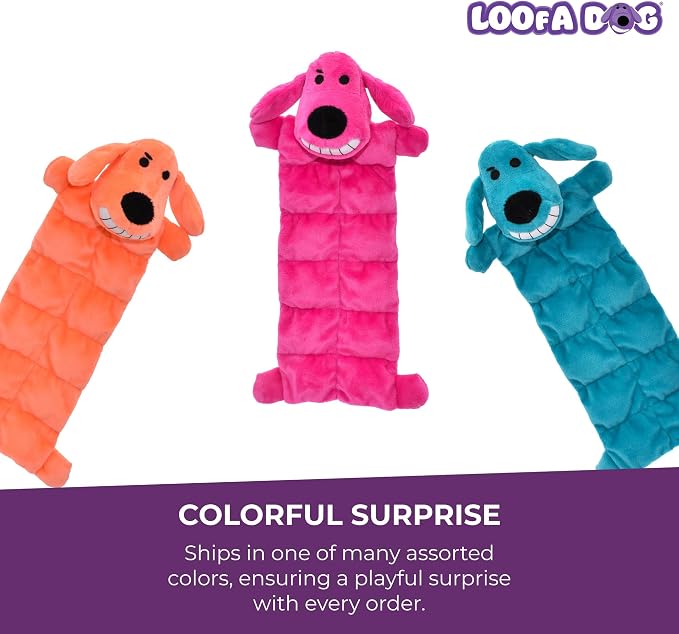Multipet Original Loofa Dog Plush Toy Mat - Squeaky Toys for All Dogs - Extra Soft Plush - Stuffed Animal Dog Toys for Playing (1 Count, 12”, Random Color Surprise)