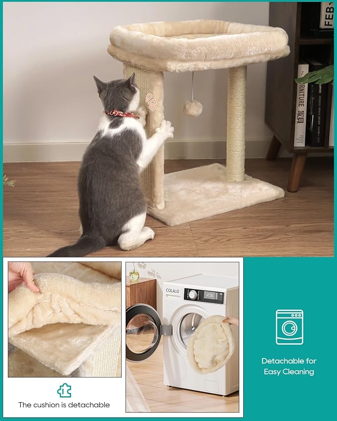 SYANDLVY Small Cat Tree for Indoor Cats, Scratching Board with Perch | Scratching Post for Small Cats, Kittens Scratcher with 2 Dangling Balls, Beige