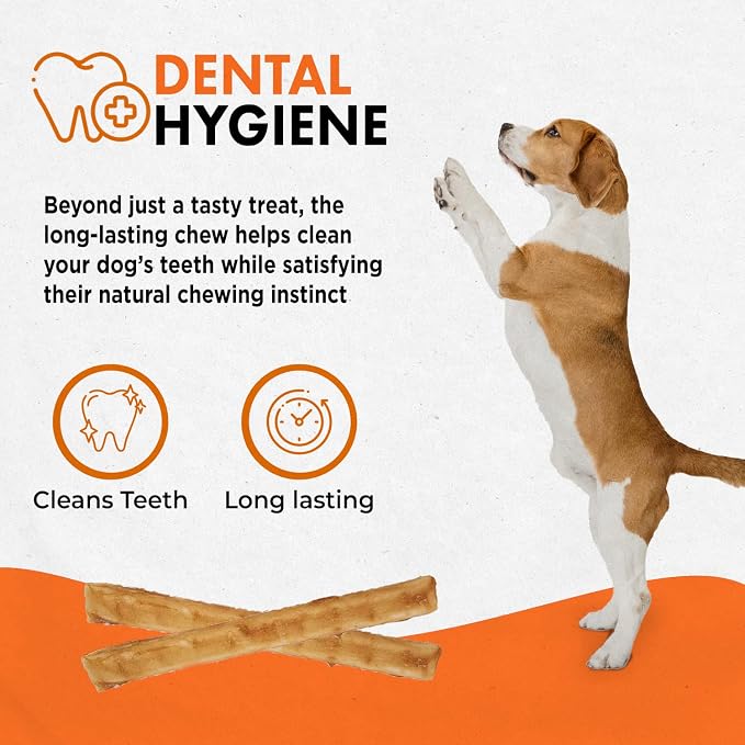 Canine Naturals Rawhide Free Chicken Recipe Dog Chews, Sticks, 10 Count | 100% Rawhide Free, USA Raised Chicken, All-Natural, Easily Digestible, 5 in Sticks, Dog Treats for All Dogs