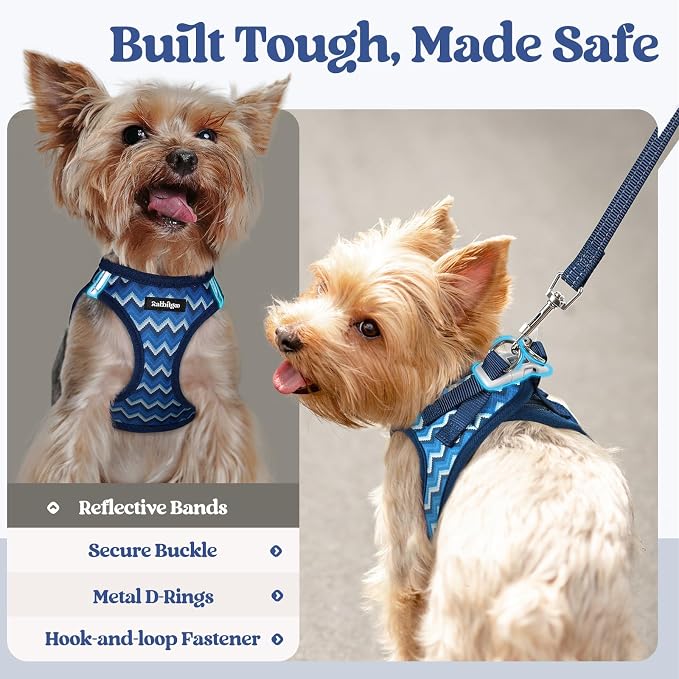 rabbitgoo Dog Harness Small Sized and Leash Set, Step-in Puppy Pet Vest | Light, Soft, Breathable Air Mesh, Easy on and Remove with Hook & Loop, Secure Reflective for Walking, Blue Zigzag XXS