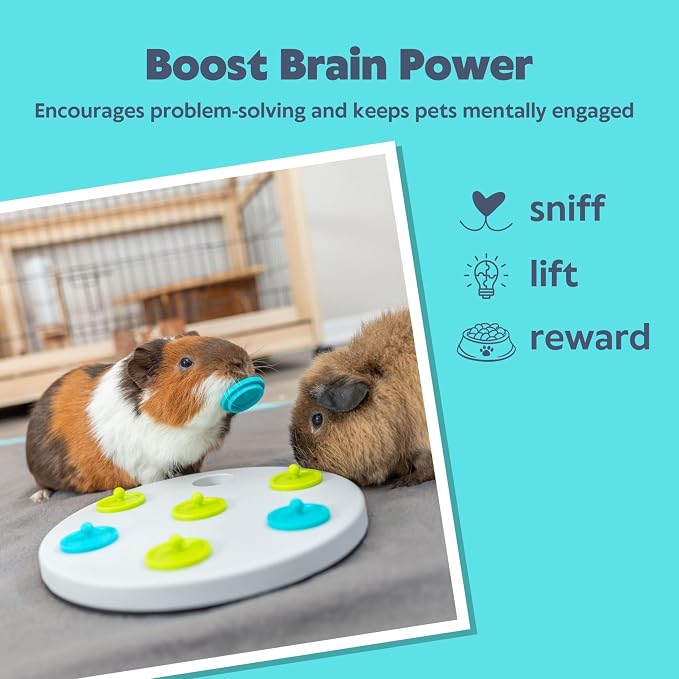 Trixie Rabbit Snack Board, Interactive Toy, Small Animal Puzzle, Mental Stimulation, Rabbit, Ferret, Bunny, Chinchilla