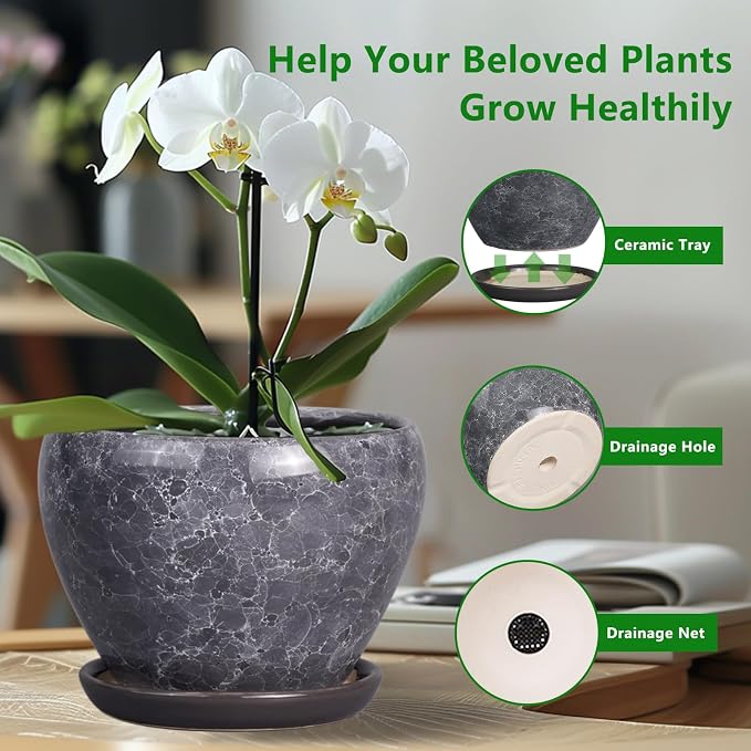 Ceramicfor Ceramic Planter - 6 Inch Plant Pot with Drainage Hole and Saucer, Succulent Pot Glaze Round Flower Pot for Indoor Outdoor Plants, Gray