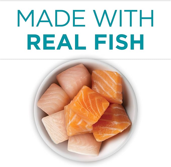 Purina ONE High Protein Cat Food, Salmon and Trout, 3 oz Cans, Pack of 24 | High protein, moisture rich, salmon and trout in sauce recipe made with no artificial colors, flavors or preservatives