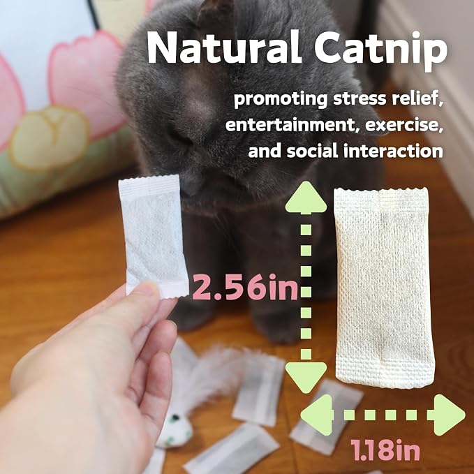CECE PAW 12 Pack Natural Catnip Pouches for Cat Toys, Non-Woven Fabric Cat nip Refills, Gift Packaging with Catnip Tea Bags and Feather Whale Toy