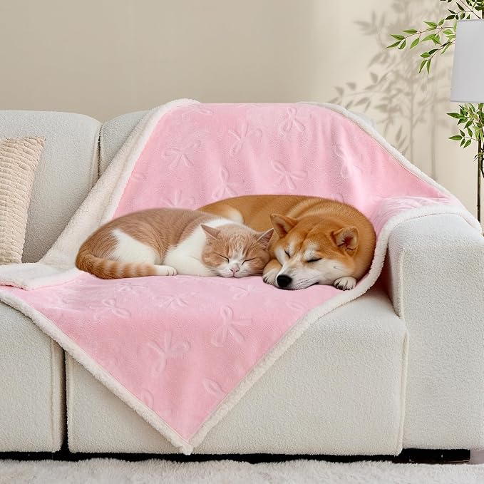 Pet Blankets for Cats - Waterproof Cat Blanket Washable - Sherpa Fleece Puppy Blanket, Soft Plush Reversible Throw Protector for Bed Couch Car Sofa, 40"X50", Pink Bows