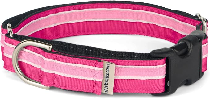 If It Barks 1" Martingale Collar with Quick Snap Release Buckle, Adjustable, USA Made, Small, Bubble Gum
