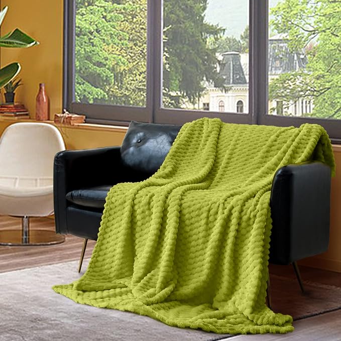 Vessia Flannel Fleece Twin Size Blanket(60x80 inch), 3D Jacquard Green Fuzzy and Warm Blanket for Couch,Sofa,Bed,Chair, 300GSM Super Soft Touch Cozy Lightweight Bed Home Decor for All-Season