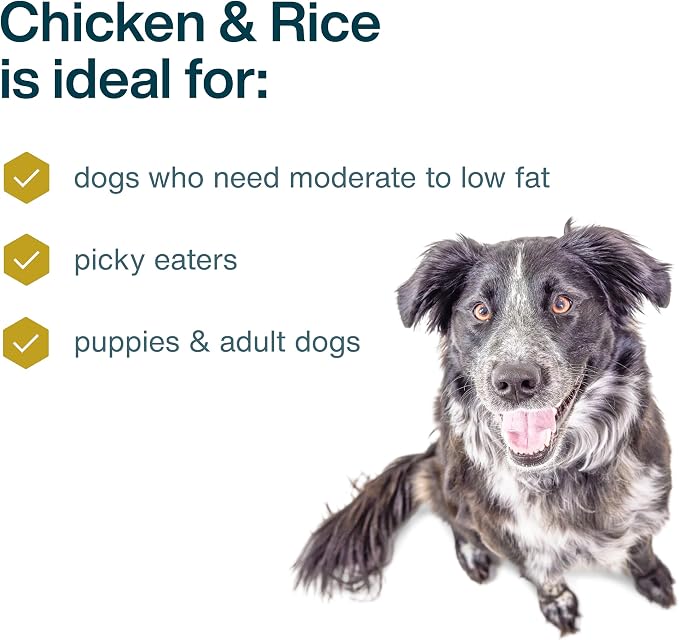 JustFoodForDogs Pantry Fresh Wet Dog Food,Complete Meal or Dog Food Topper,Chicken & White Rice Human Grade-Dog-Food Recipe - 12.5 oz,(Pack of 24)