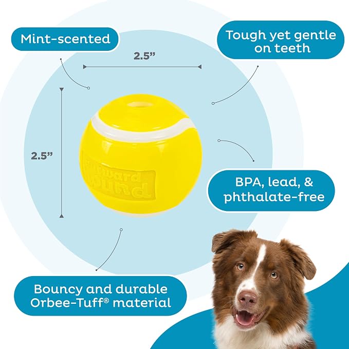 Outward Hound by Planet Dog Sport Ballz Tennis Ball Treat-Dispensing Fetch Ball Dog Toy (Pack of 2)