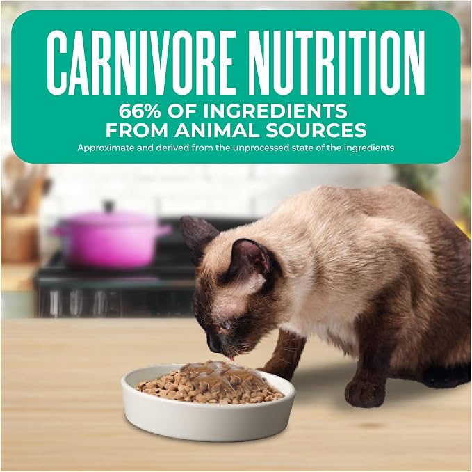 Tiki Cat Born Carnivore Dry Cat Food, Trout & Menhaden Fish Meal | Supports Healthy Weight and Immune System, Crunchy Kibble Texture, 66 Percent Animal Ingredients, Grain Free Recipe