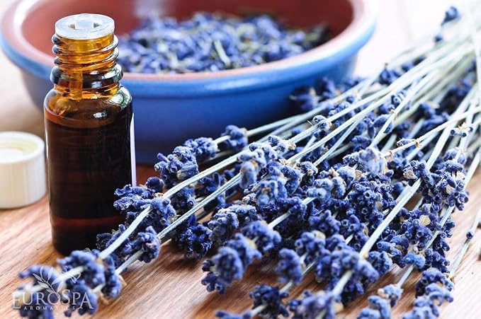 EuroSpa Aromatics Pure Eucalyptus Oil ShowerMist and Steam Room Spray, All-Natural Premium Aromatherapy Essential Oils - Lavender Infused, 8oz