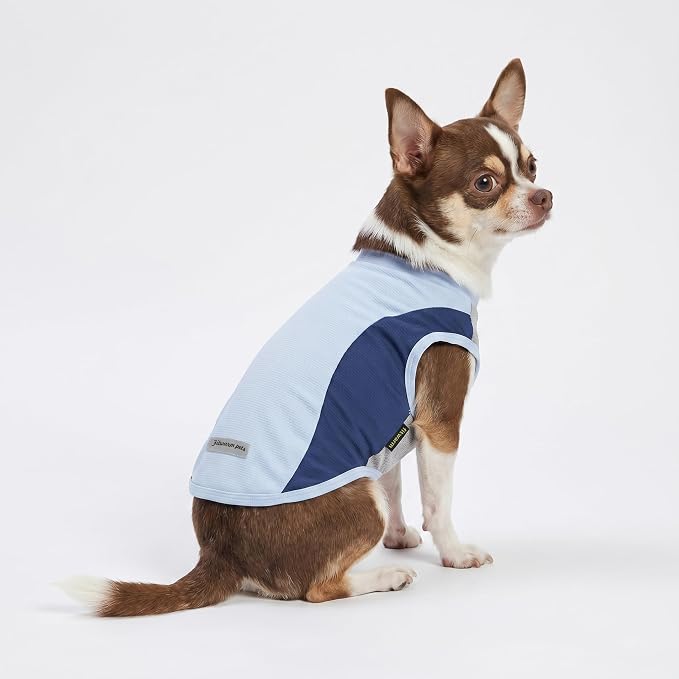 Fitwarm 2 Pack UPF 50+ UV Sun Protection Dog Shirt, Quick Dry Summer Dog Clothes for Small Dogs Boy Girl, Reflective Label, Lightweight Breathable Cooling Vest, Pet Cat Outfit, Orange, Blue, XL