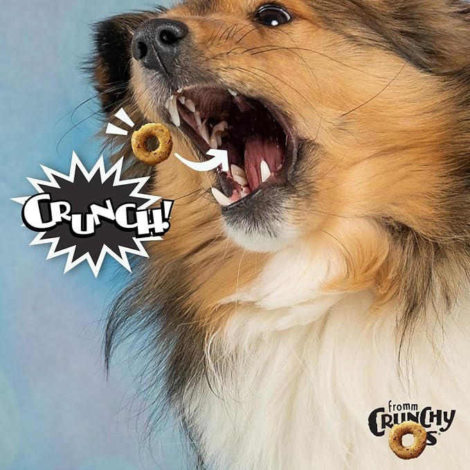 Fromm Crunchy Os Bacon Blasters Flavor Dog Treats - Bacon Recipe - 26 oz
