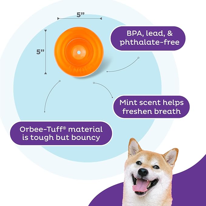 Outward Hound Snoop Interactive Treat Dispensing Dog Toy, Orange, 5" | Rolls & Bounces, Treat Stuffer, Puzzle Ball & Slow Feeder, Enrichment, Mint Scented, Easy Clean, No BPA, Medium to Large Dogs