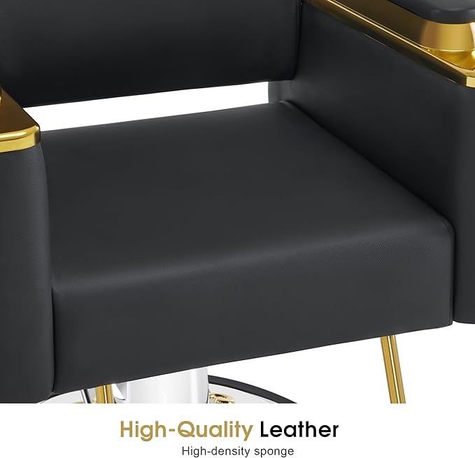 BarberPub Luxurious Salon Chair, Height Adjustable Black Salon Beauty Spa Styling Equipment, 440lbs Hydraulic Pump for Hair Stylist, Barber Shops&Beauty Salons 8633 (Black)