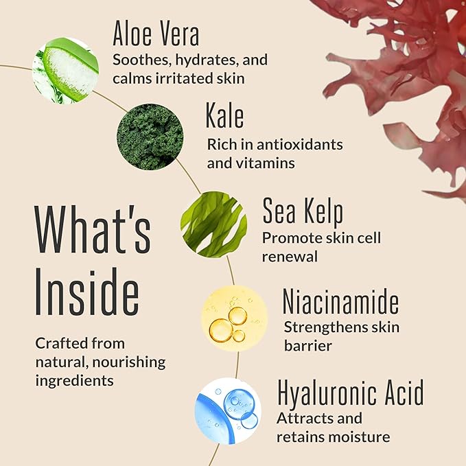 acorn+oak Eye Cream - Under Eye Cream for Dark Circles and Puffiness, Anti-Aging Skin Care with Aloe, Niacinamide, & Hyaluronic Acid to Firm Skin and Reduce Wrinkles, Soothing Face Cream (1 fl oz)