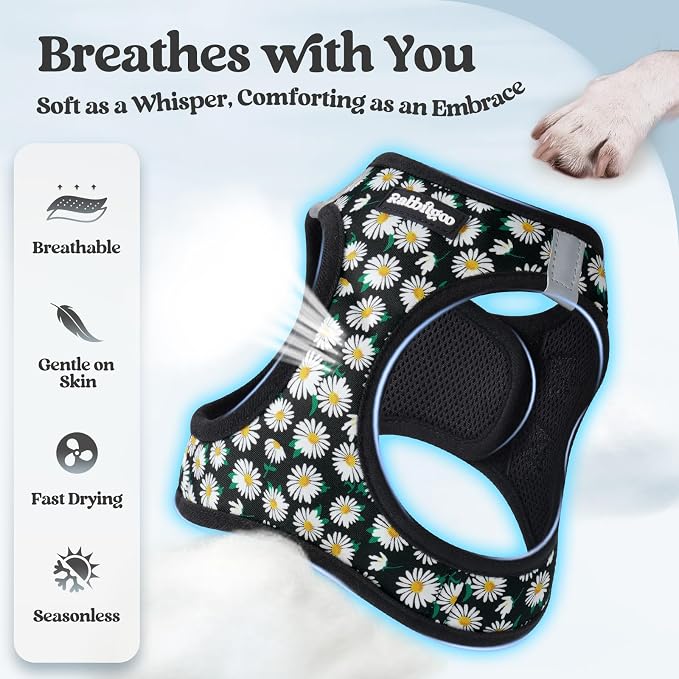 rabbitgoo Dog Harness Small Sized and Leash Set, Step-in Puppy Pet Vest | Light, Soft, Breathable Air Mesh, Easy on and Remove with Hook & Loop, Secure Reflective for Walking, Midnight Daisy S