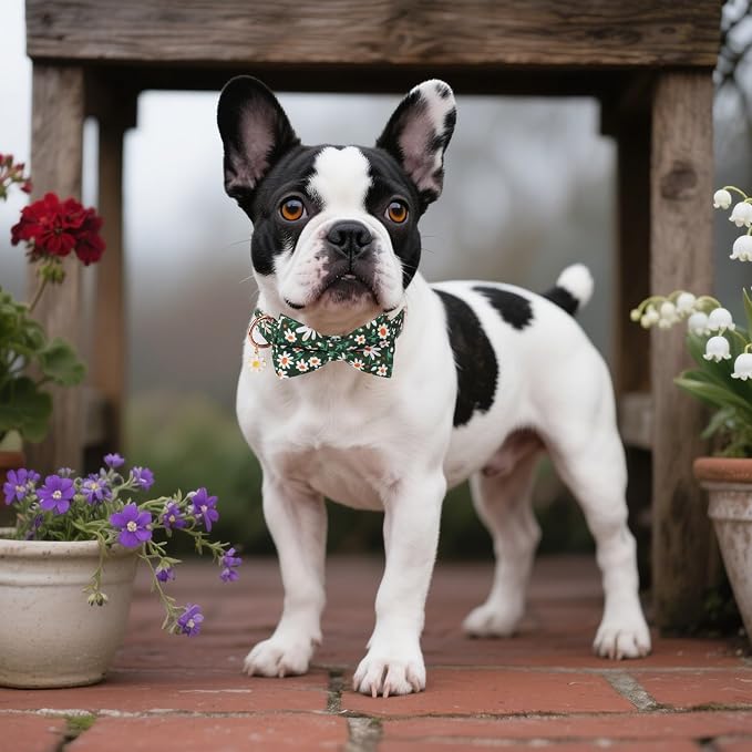 ADOGGYGO Floral Girl Dog Collar with Bow Tie, Cute Daisy Bowtie, Small