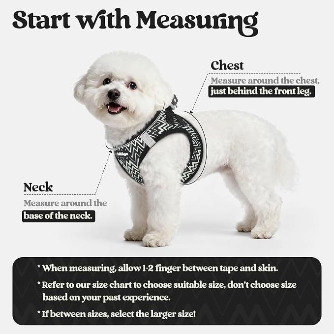 rabbitgoo Dog Harness Small Sized and Leash Set, Step-in Puppy Pet Vest | Light, Soft, Breathable Air Mesh, Easy on and Remove with Hook & Loop, Secure Reflective for Walking, Black Zigzag S