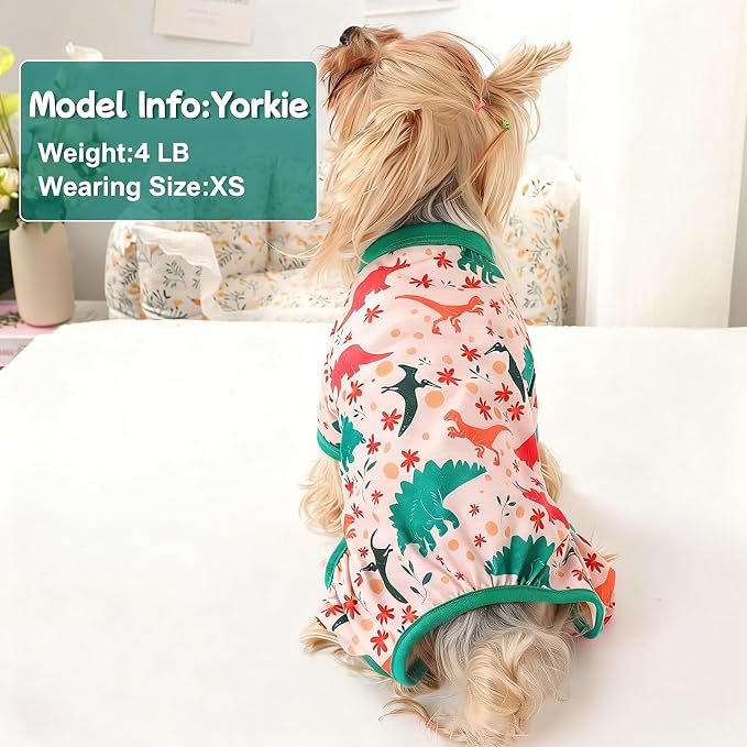 DaFuEn Dog Pajamas for Small Dogs, Soft Stretchy 4 Legs Puppy Jumpsuit, All Season Cozy Pet PJs for Chihuahua Yorkie Teacup Dogs, Cat Clothes (Green Dinosaur, S)