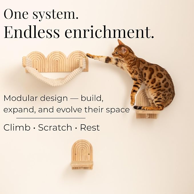 Wall Mounted Cat Hammock Bed with Steps - Wooden Wall Shelf for Cats - Paintable Natural Rubberwood - The Perfect Perch for Cats & Kittens